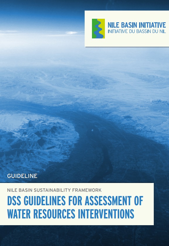 DSS Guidelines WM Interventions