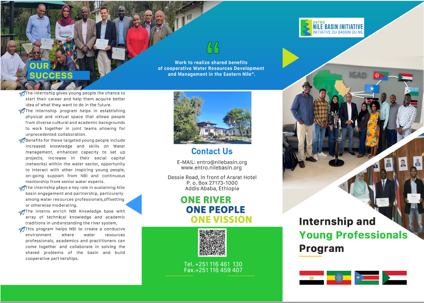 Internship and Young Professional Program